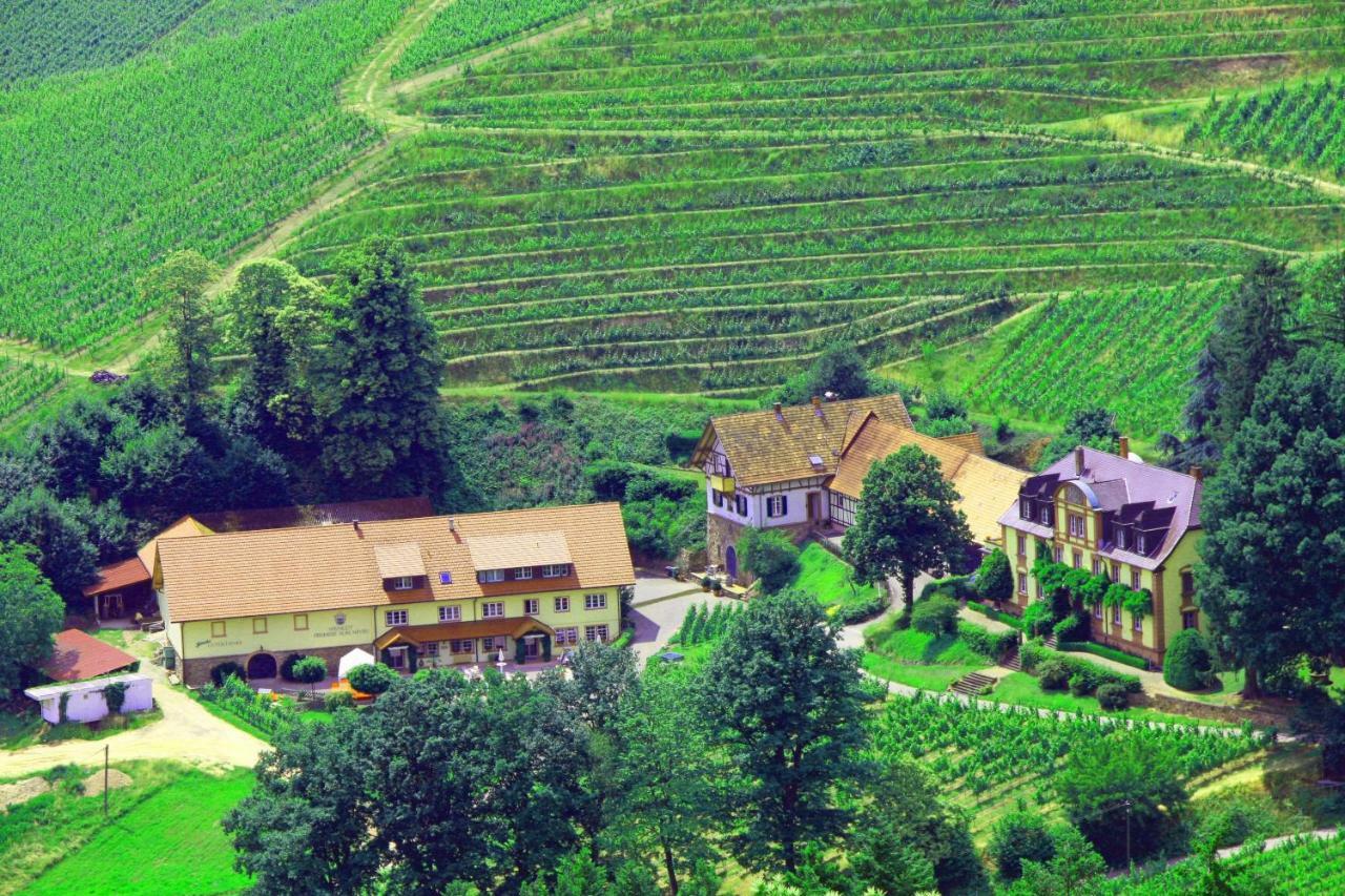 Wein Lodge Durbach - Josephsberg 2 Экстерьер фото