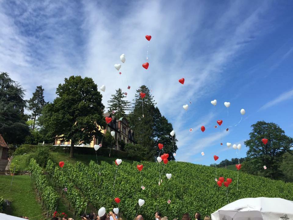 Wein Lodge Durbach - Josephsberg 2 Экстерьер фото